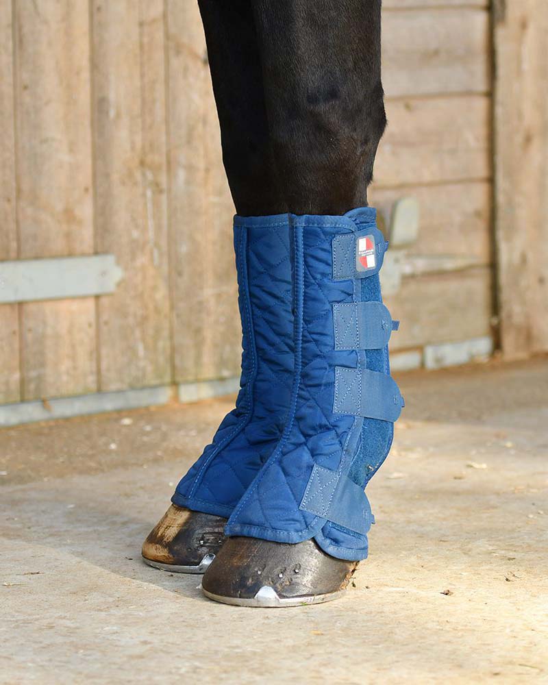 Equilibrium Equi-Chaps